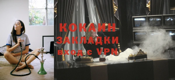 индика Белокуриха