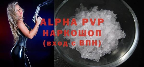индика Белокуриха
