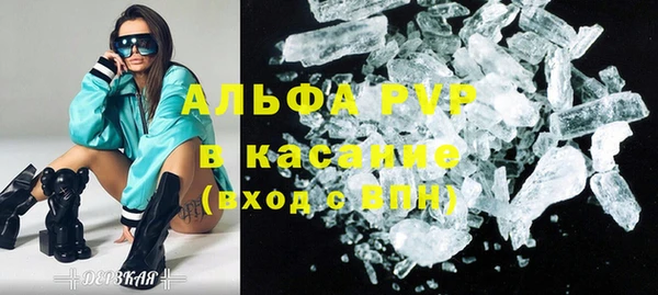 индика Белокуриха