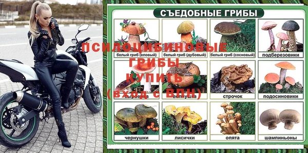 индика Белокуриха