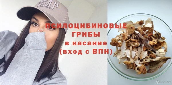 ALPHA-PVP Богородицк