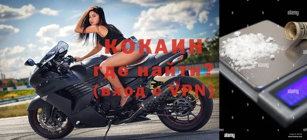 индика Белокуриха