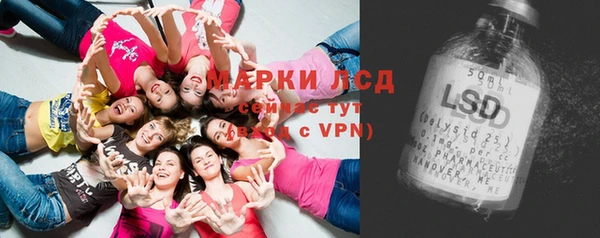 твердый Богданович