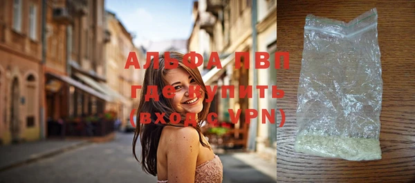 индика Белокуриха