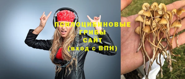 индика Белокуриха