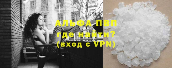 твердый Богданович