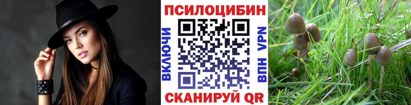 Псилоцибиновые грибы Psilocybine cubensis  как найти наркотики  Медногорск 